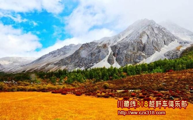 洛絨牛場(chǎng)